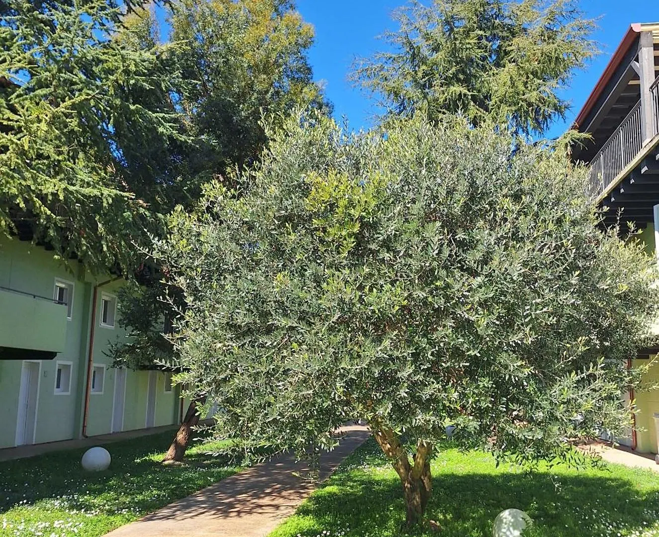 Residence Duna Rossa - Family Friendly Duna Verde 3*,